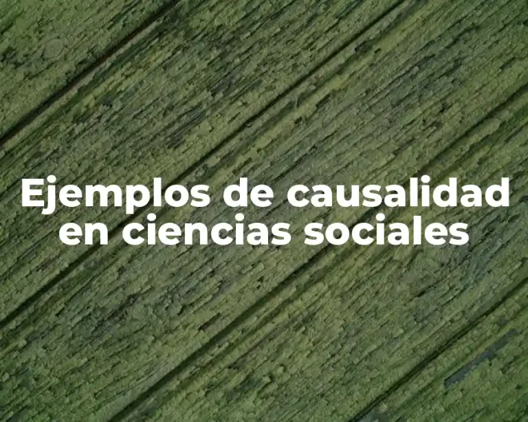 Ejemplos de causalidad en ciencias sociales