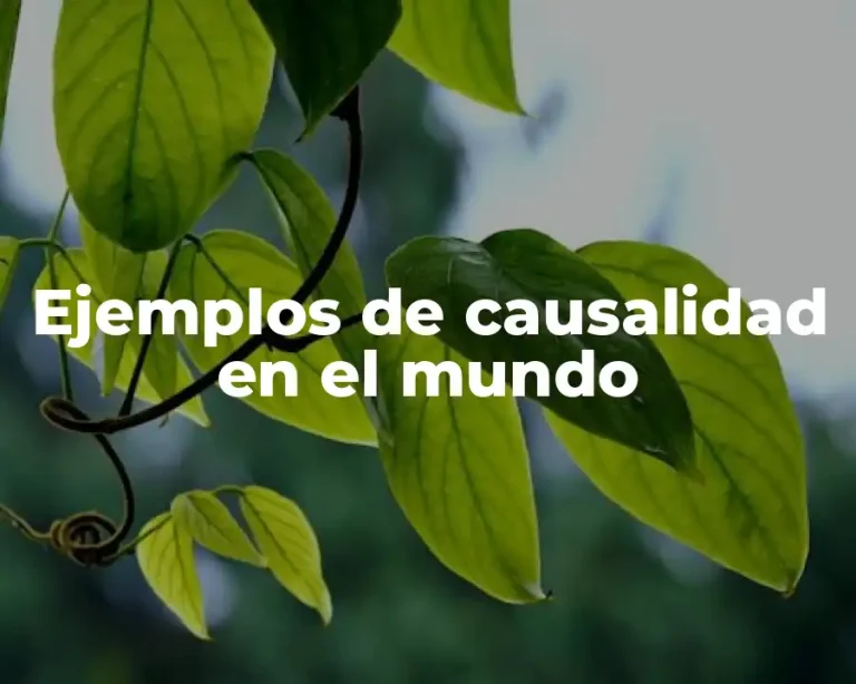 Ejemplos de causalidad en el mundo