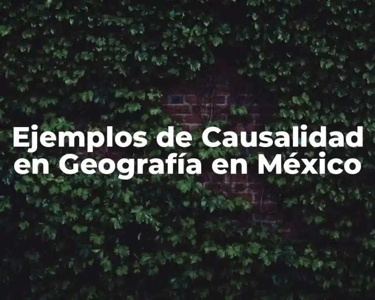 Ejemplos de Causalidad en Geografía en México