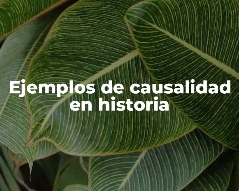 Ejemplos de causalidad en historia