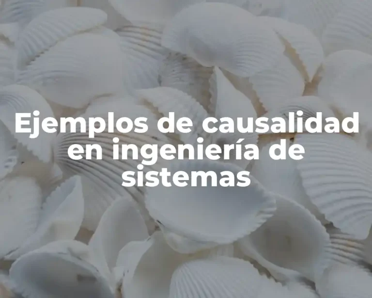 Ejemplos de causalidad en ingeniería de sistemas