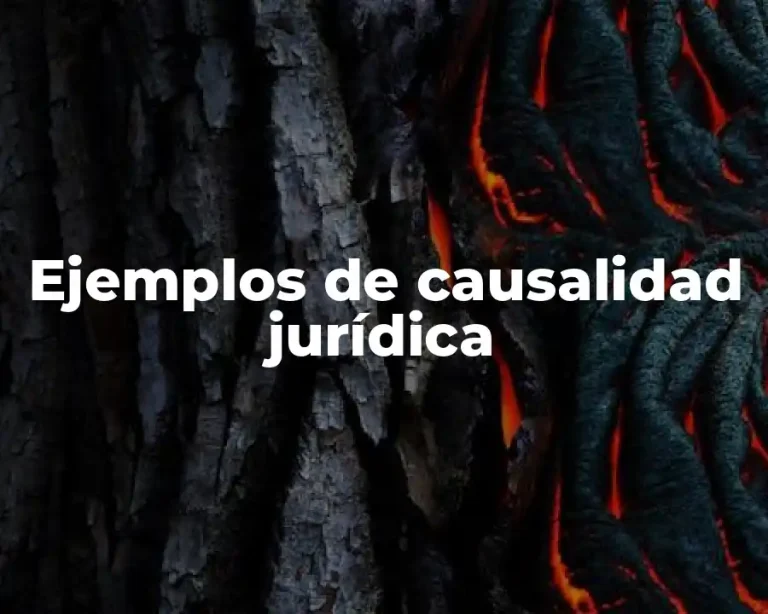 Ejemplos de causalidad jurídica