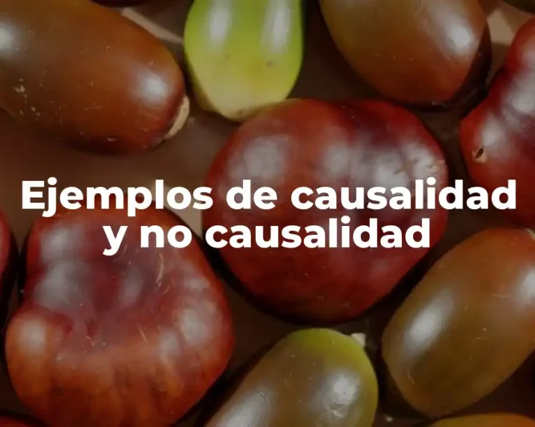 Ejemplos de causalidad y no causalidad