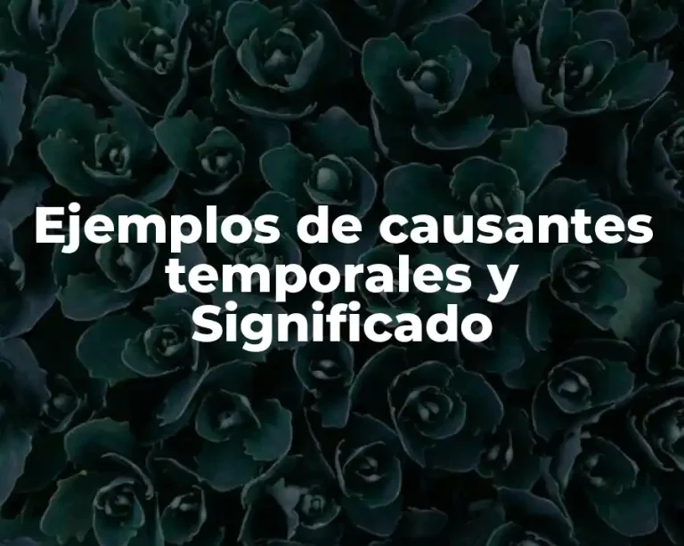 Ejemplos de causantes temporales y Significado