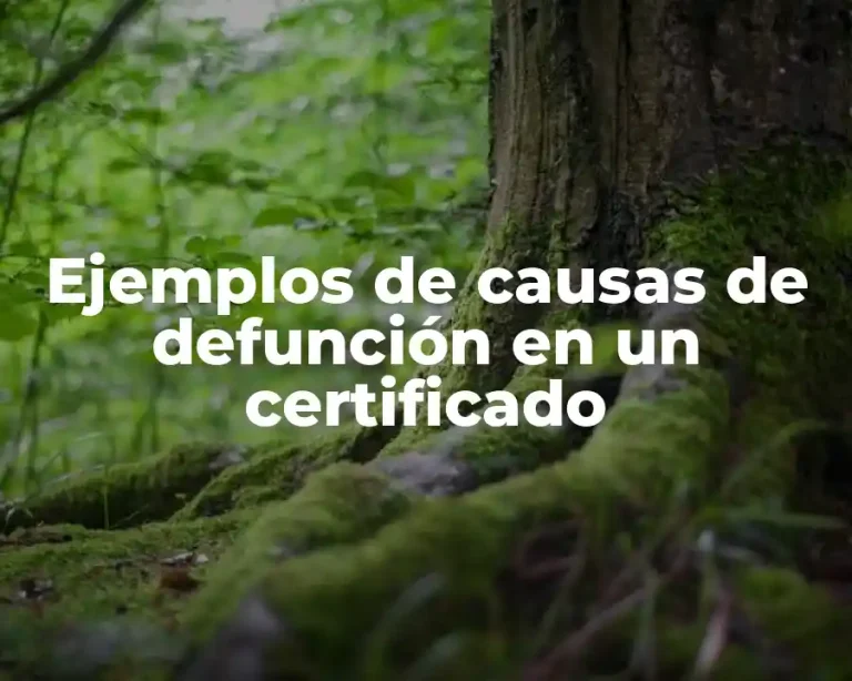 Ejemplos de causas de defunción en un certificado