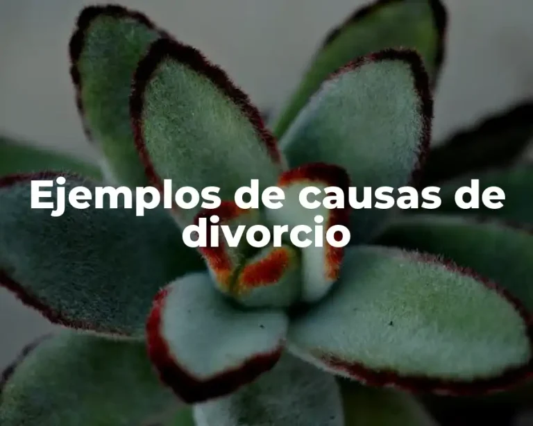 Ejemplos de causas de divorcio