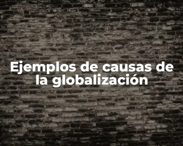 Ejemplos de causas de la globalización