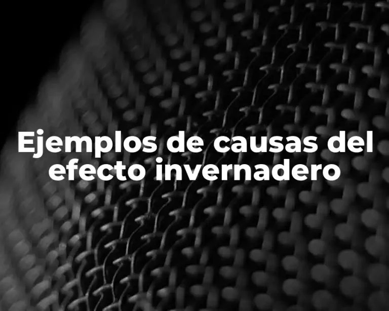 Ejemplos de causas del efecto invernadero