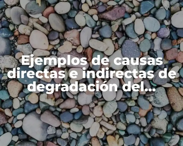 Ejemplos de causas directas e indirectas de degradación del ambiente
