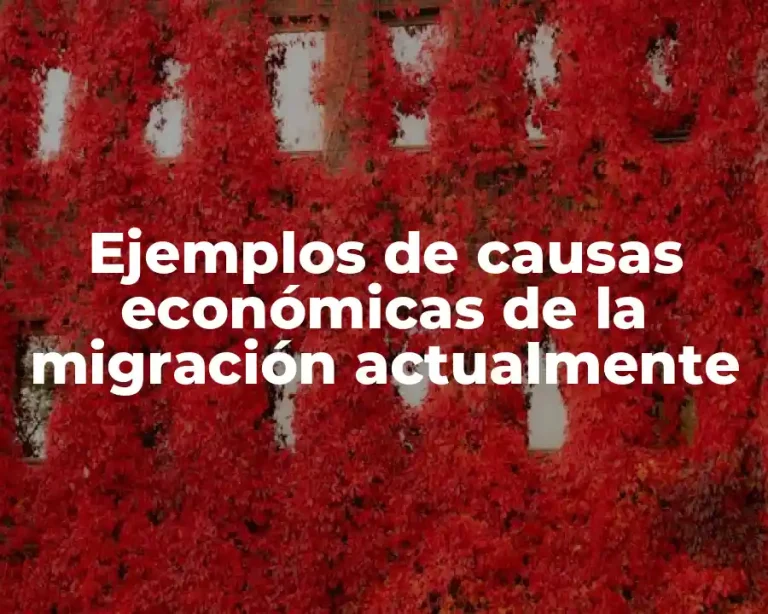 Ejemplos de causas económicas de la migración actualmente