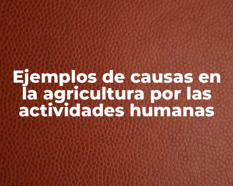 Ejemplos de causas en la agricultura por las actividades humanas