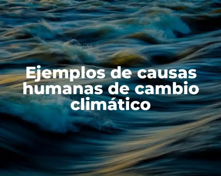 Ejemplos de causas humanas de cambio climático