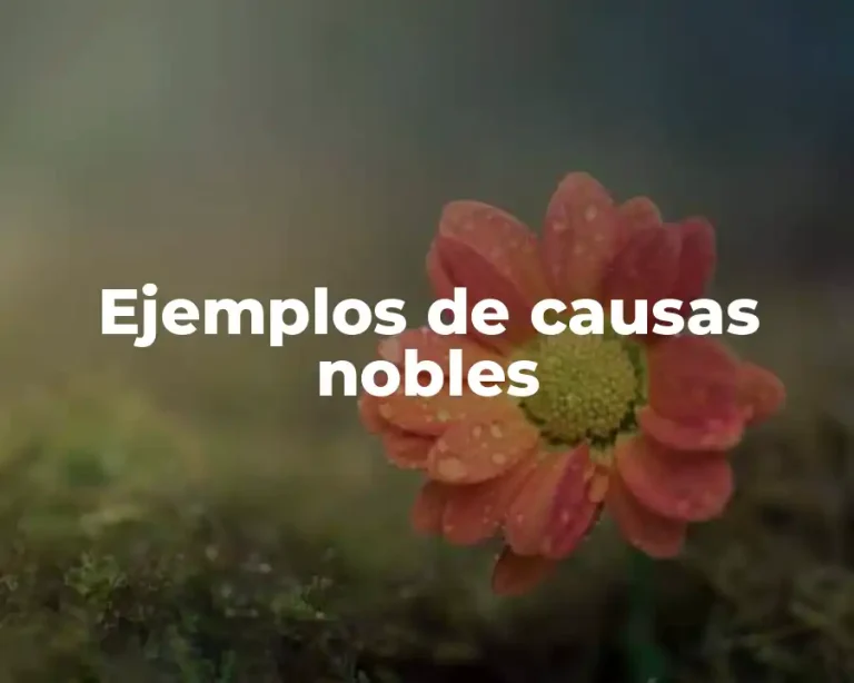 Ejemplos de causas nobles