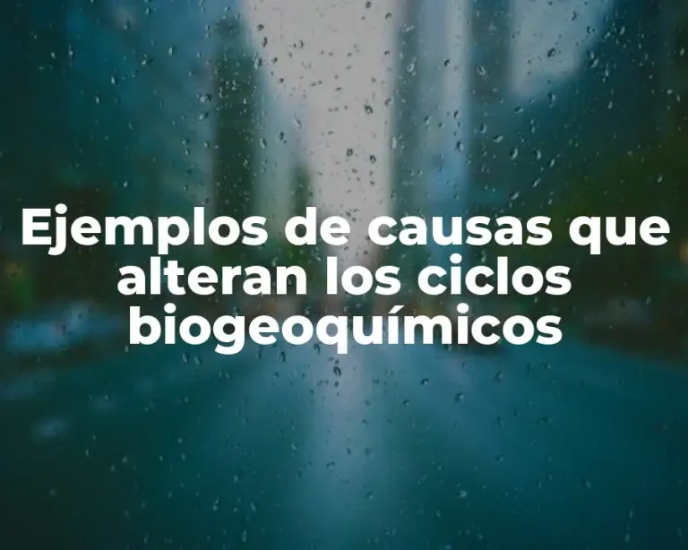 Ejemplos de causas que alteran los ciclos biogeoquímicos