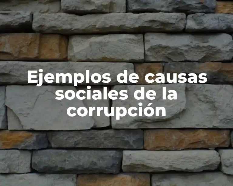 Ejemplos de causas sociales de la corrupción