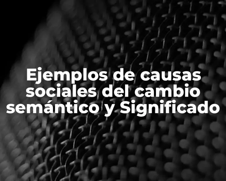 Ejemplos de causas sociales del cambio semántico y Significado