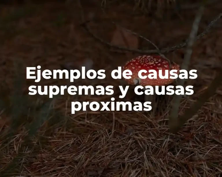 Ejemplos de causas supremas y causas proximas