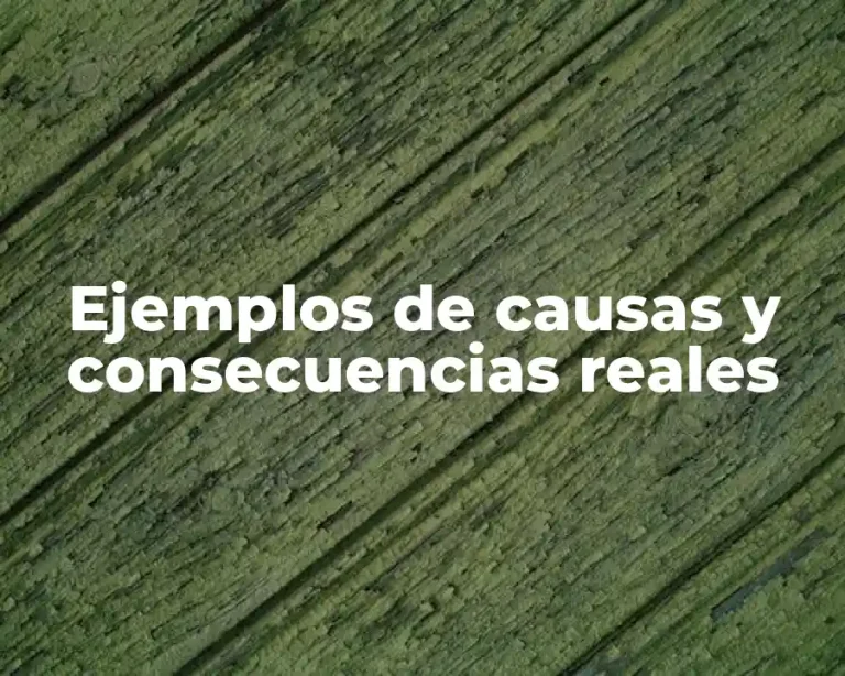 Ejemplos de causas y consecuencias reales