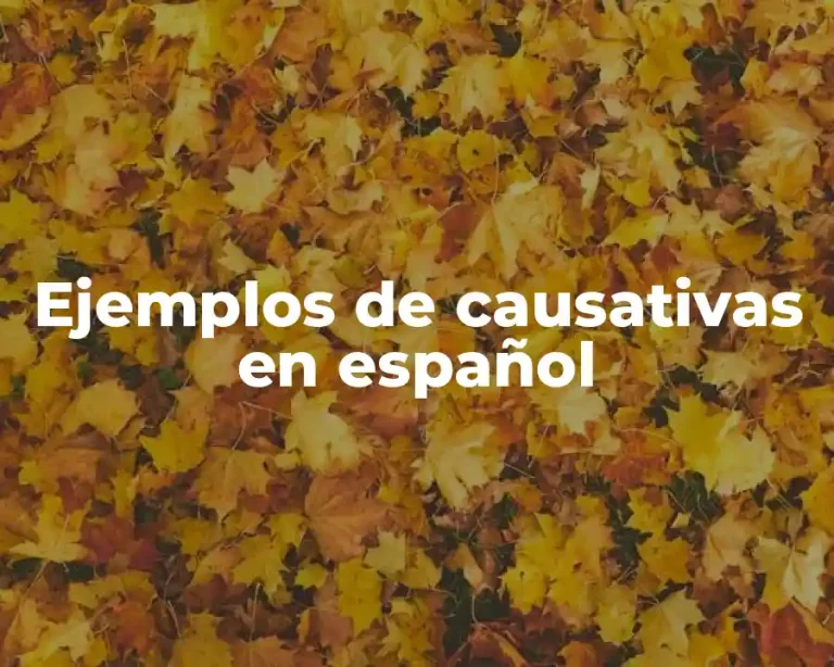 Ejemplos de causativas en español