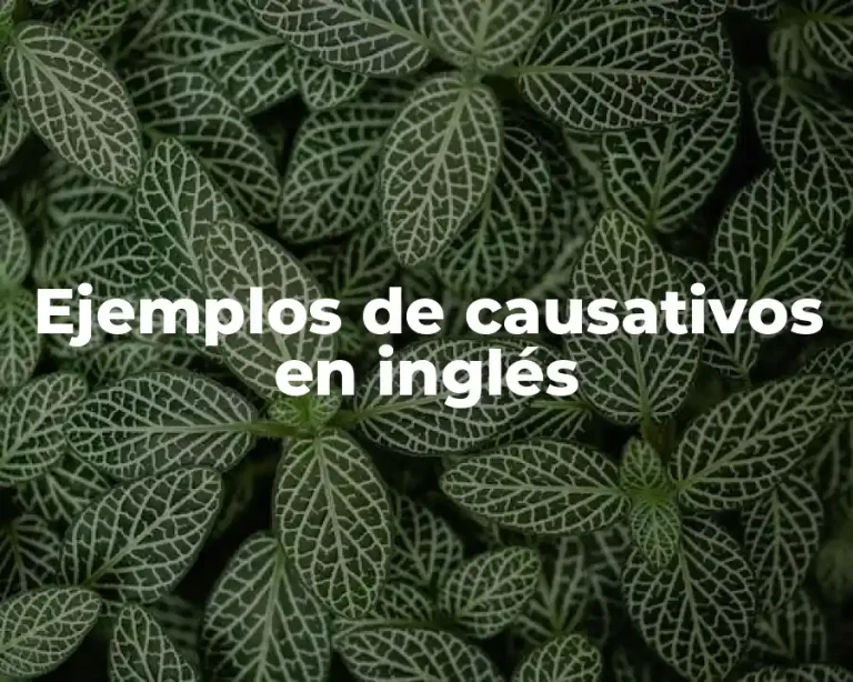 Ejemplos de causativos en inglés