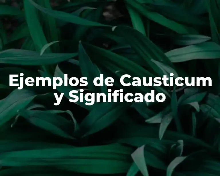 Ejemplos de Causticum y Significado