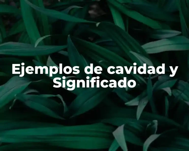 Ejemplos de cavidad y Significado