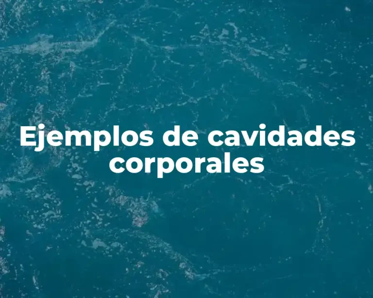 Ejemplos de cavidades corporales