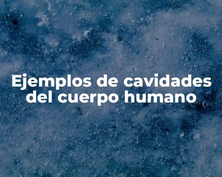 Ejemplos de cavidades del cuerpo humano