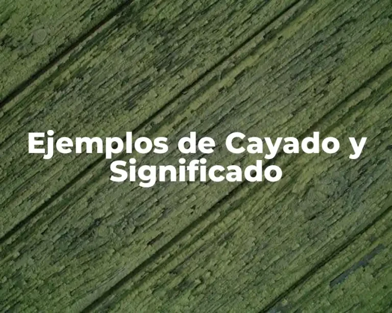 Ejemplos de Cayado y Significado