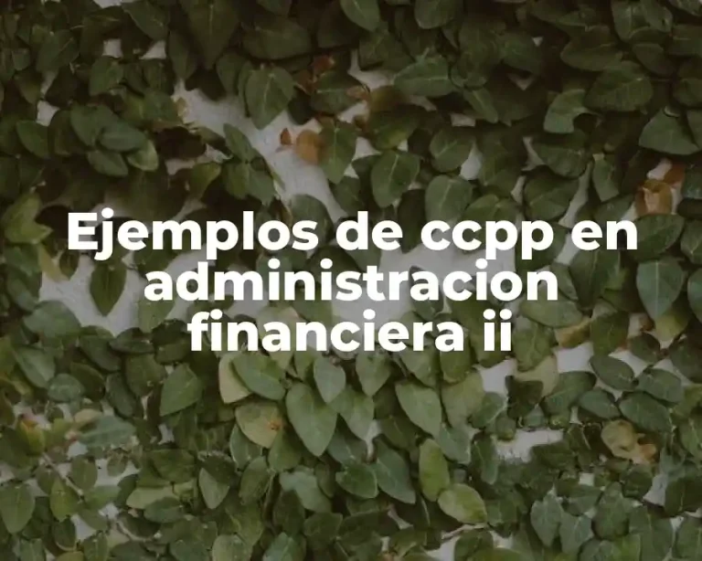 Ejemplos de ccpp en administracion financiera ii