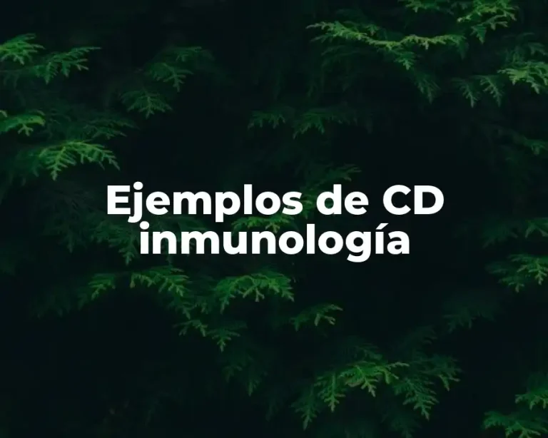Ejemplos de CD inmunología