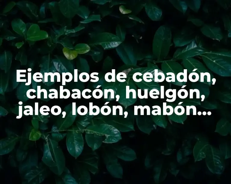 Ejemplos de cebadón, chabacón, huelgón, jaleo, lobón, mabón, nahuque