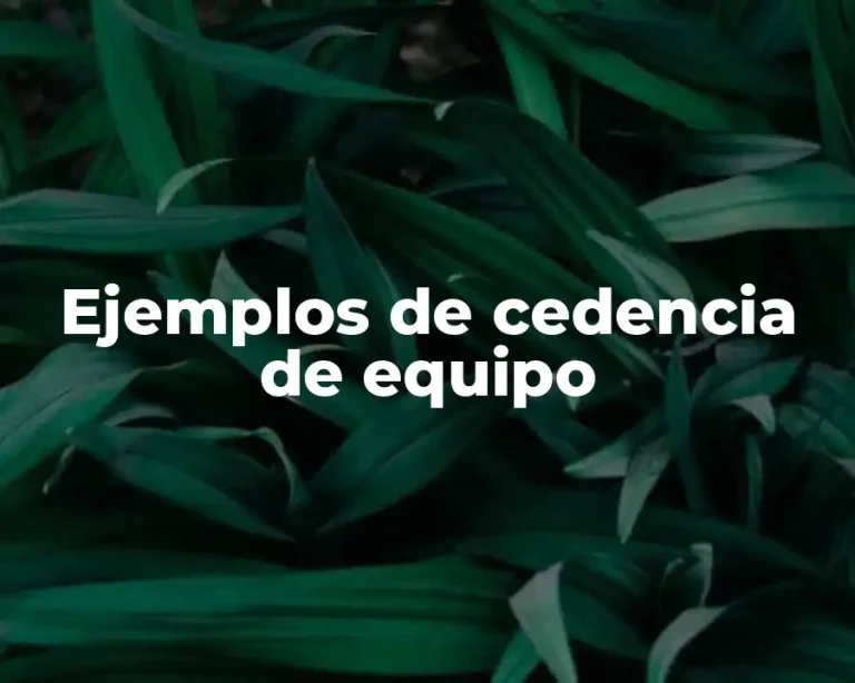 Ejemplos de cedencia de equipo