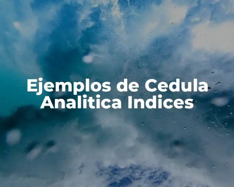 Ejemplos de Cedula Analitica Indices