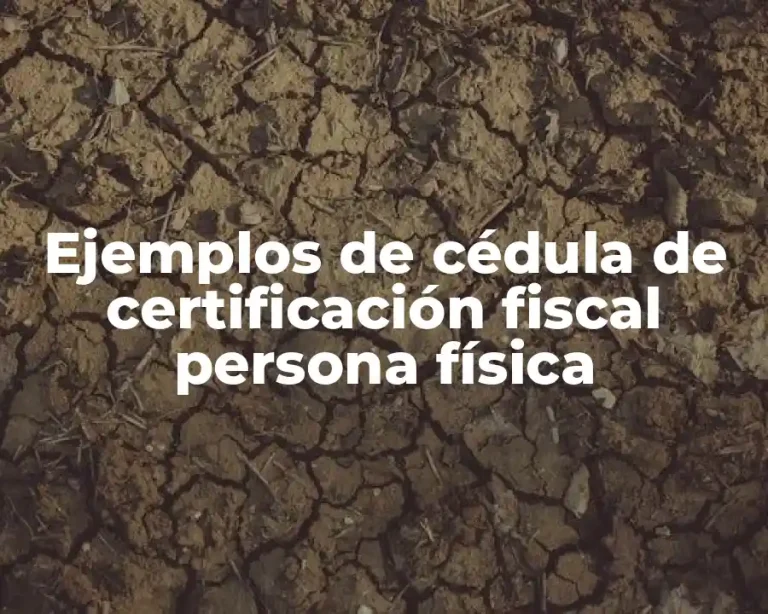 Ejemplos de cédula de certificación fiscal persona física