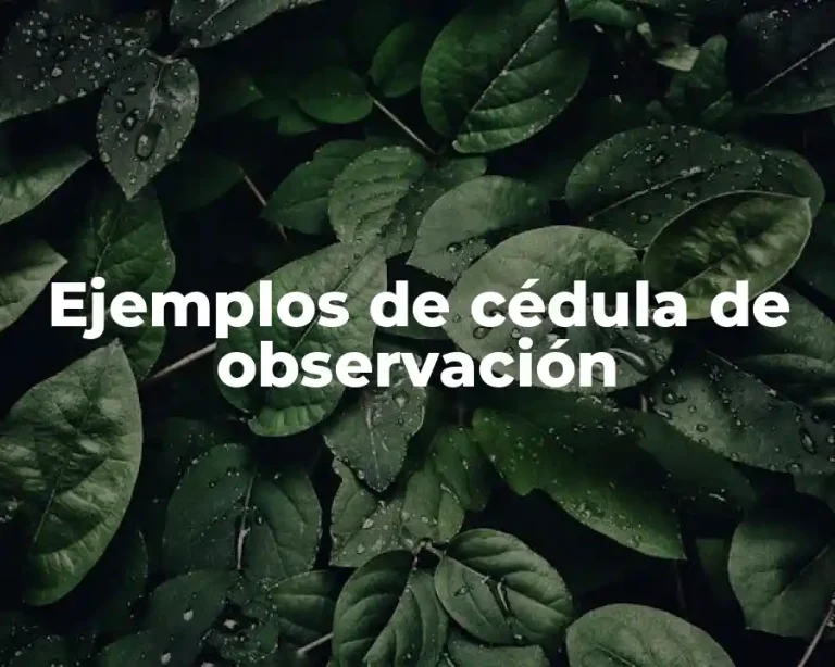 Ejemplos de cédula de observación