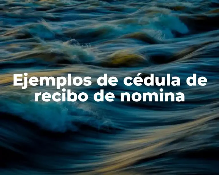 Ejemplos de cédula de recibo de nomina
