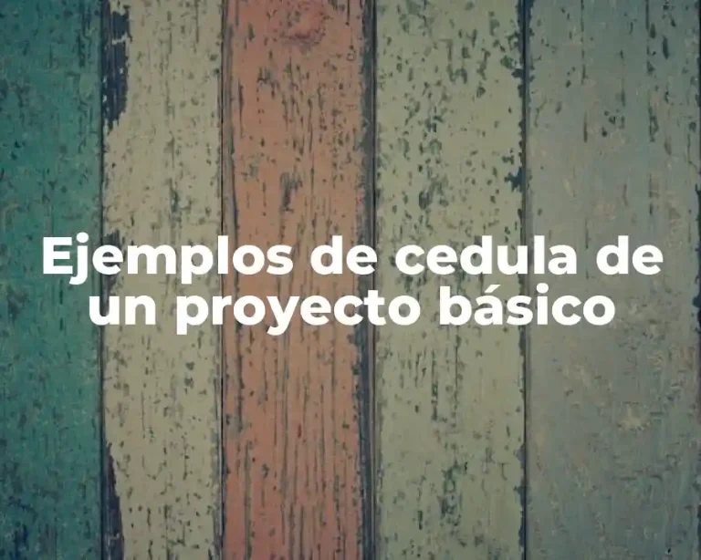 Ejemplos de cedula de un proyecto básico