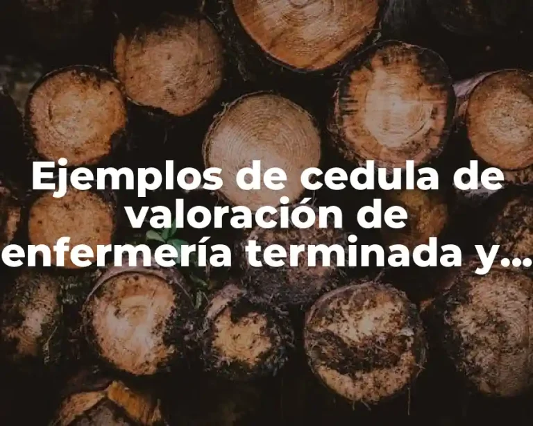 Ejemplos de cedula de valoración de enfermería terminada y Significado