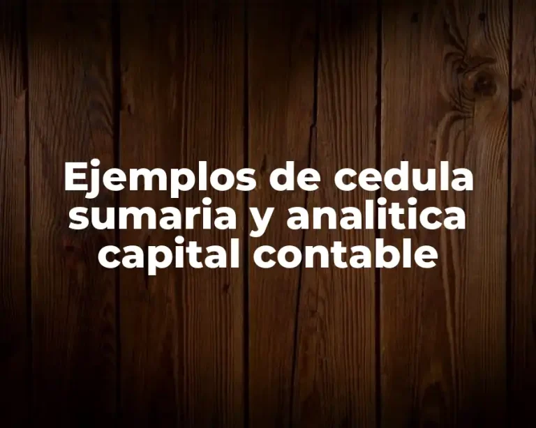 Ejemplos de cedula sumaria y analitica capital contable