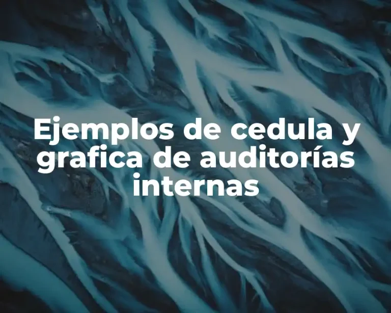 Ejemplos de cedula y grafica de auditorías internas