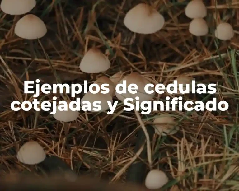 Ejemplos de cedulas cotejadas y Significado