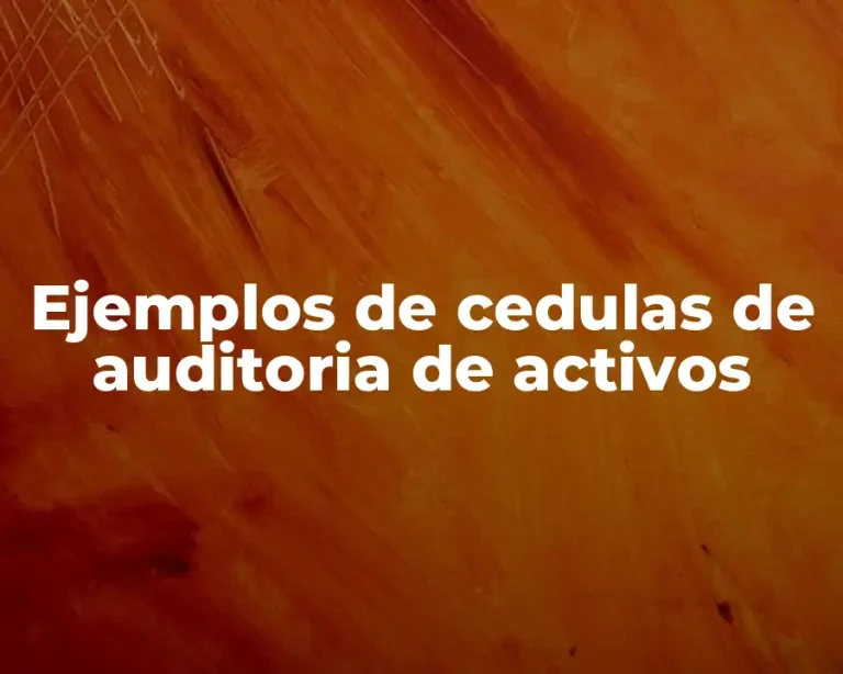 Ejemplos de cedulas de auditoria de activos