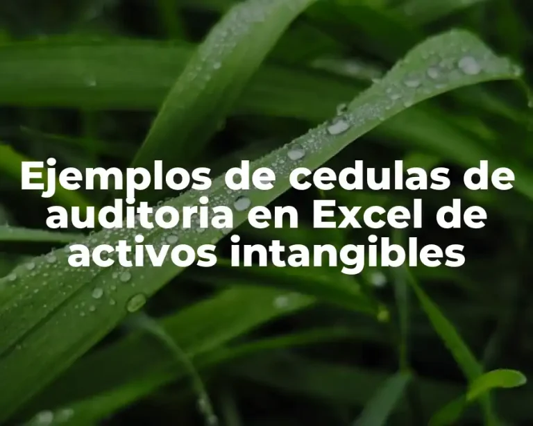 Ejemplos de cedulas de auditoria en Excel de activos intangibles