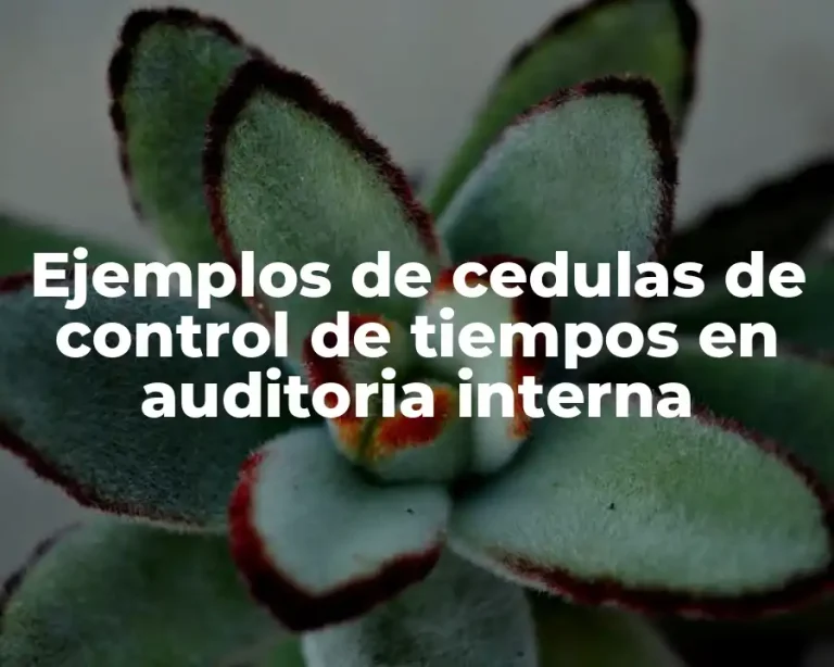 Ejemplos de cedulas de control de tiempos en auditoria interna