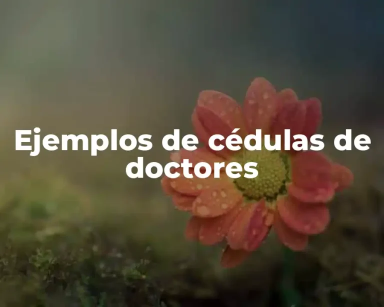 Ejemplos de cédulas de doctores