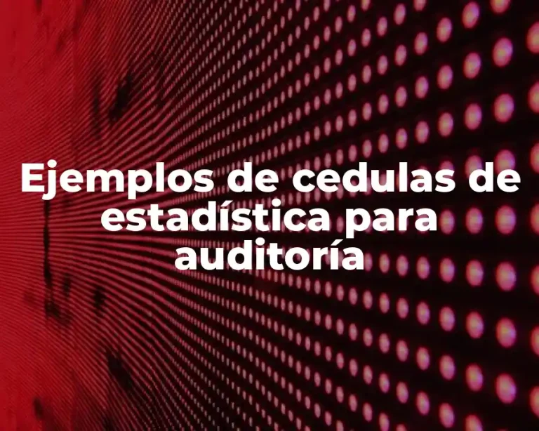 Ejemplos de cedulas de estadística para auditoría