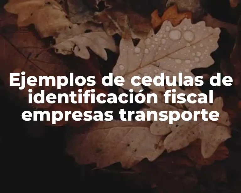 Ejemplos de cedulas de identificación fiscal empresas transporte