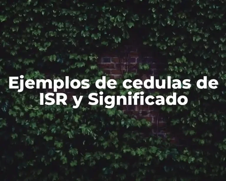 Ejemplos de cedulas de ISR y Significado