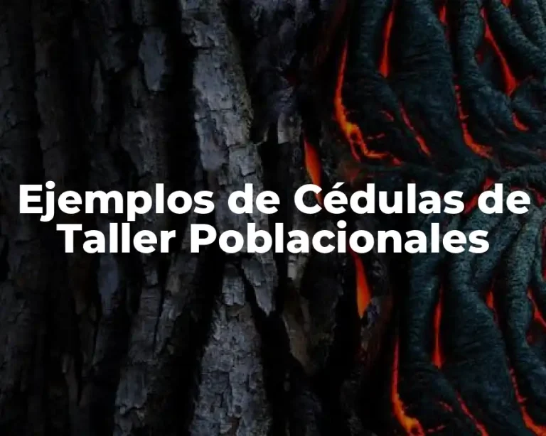 Ejemplos de Cédulas de Taller Poblacionales
